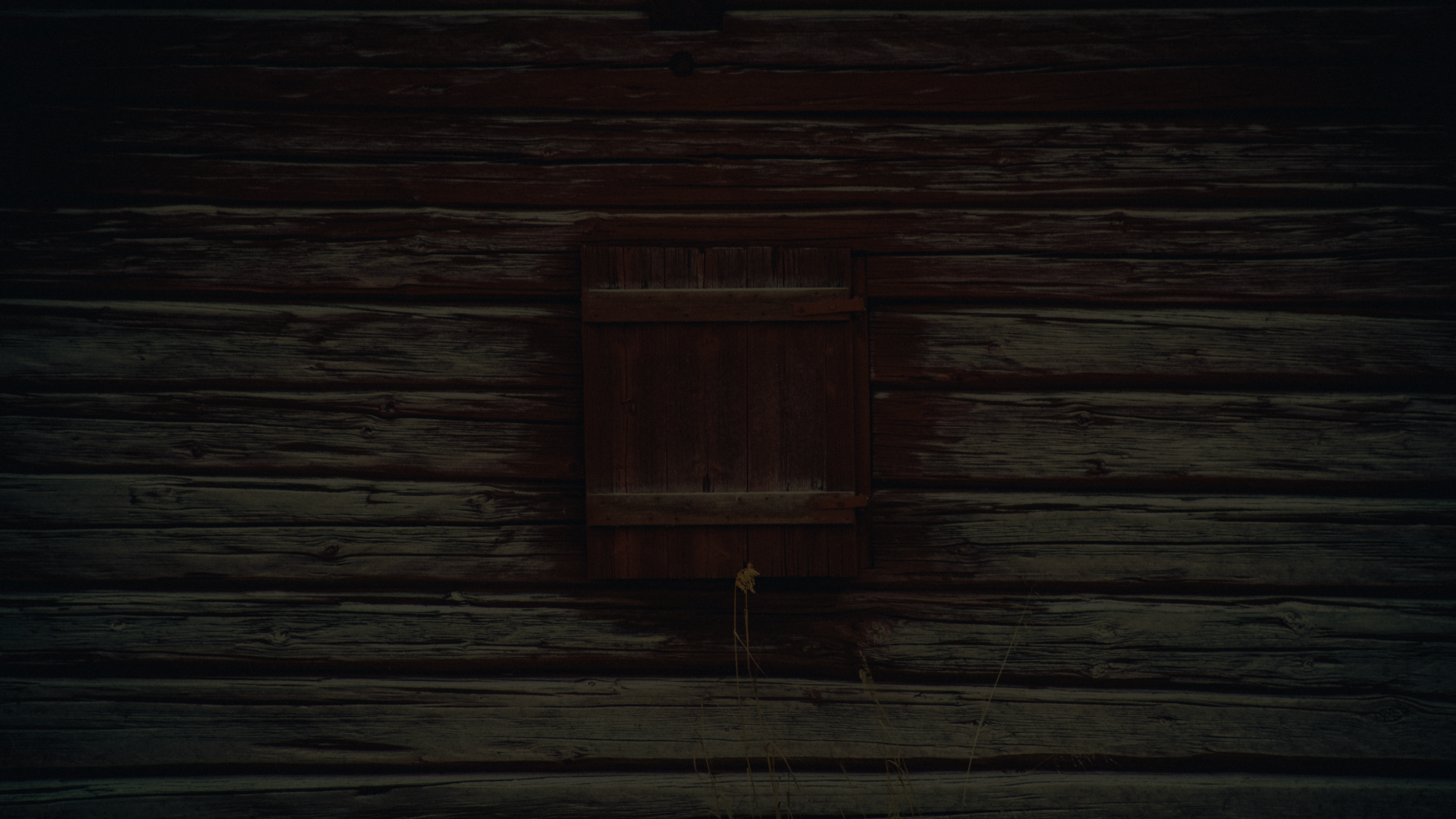 unsplash_hdCEHrpOXJA.png